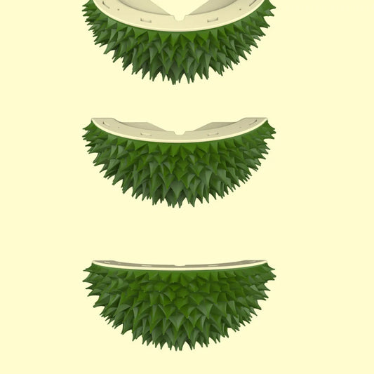 Durian Shaped Cat Hair Remover