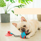 Rocket Dog Toys Leaking Food Dog Bite Toys Bite-resistant Pet Toys